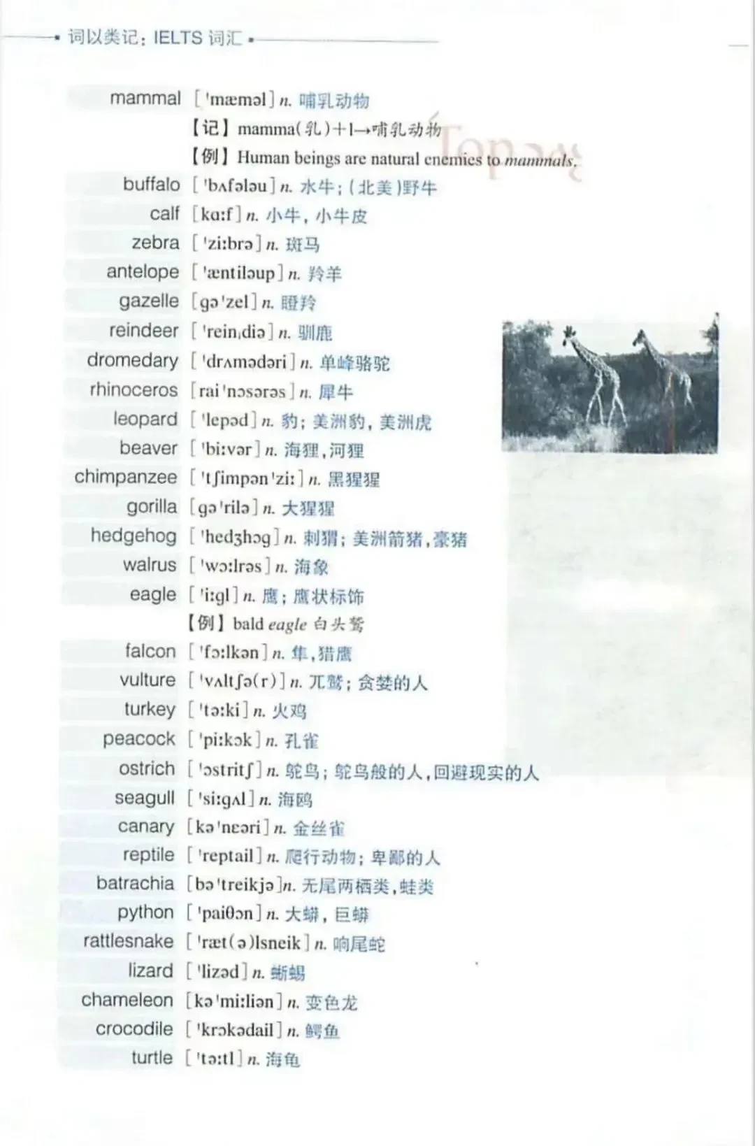 新澳天天资料资料大全600Tk173;词语释义解释落实